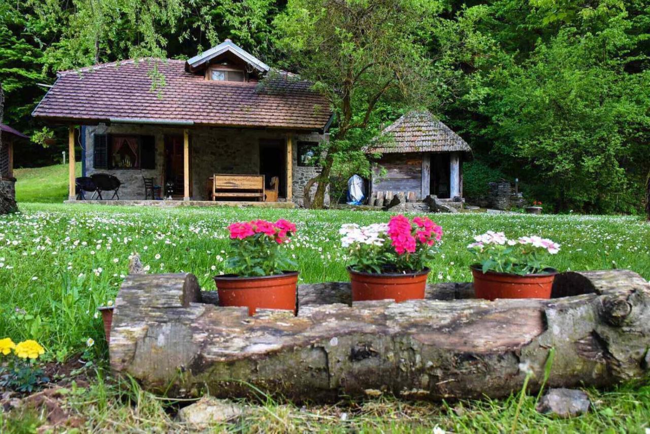 Kuca Za Odmor Todorovica Mlin Villa Gornji Milanovac Exterior photo