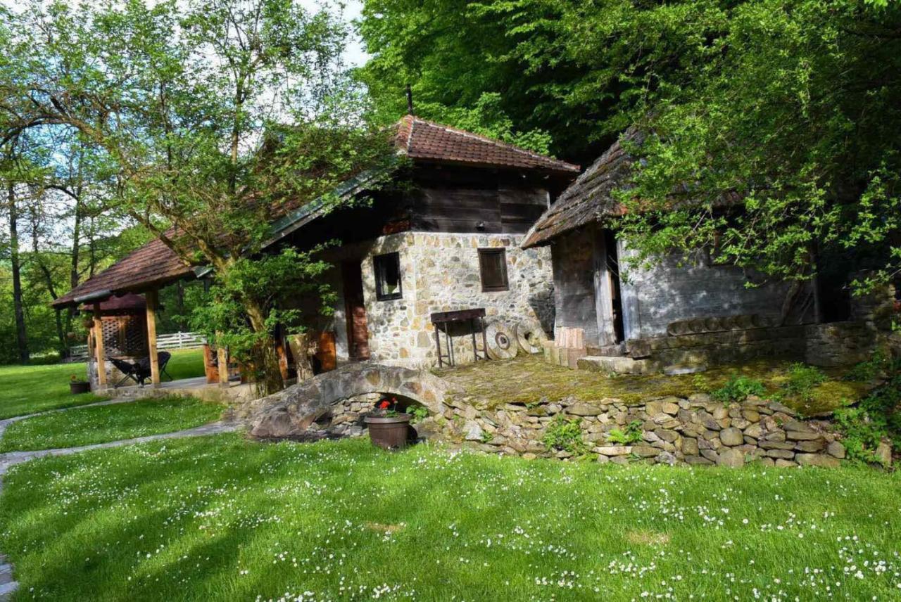 Kuca Za Odmor Todorovica Mlin Villa Gornji Milanovac Exterior photo