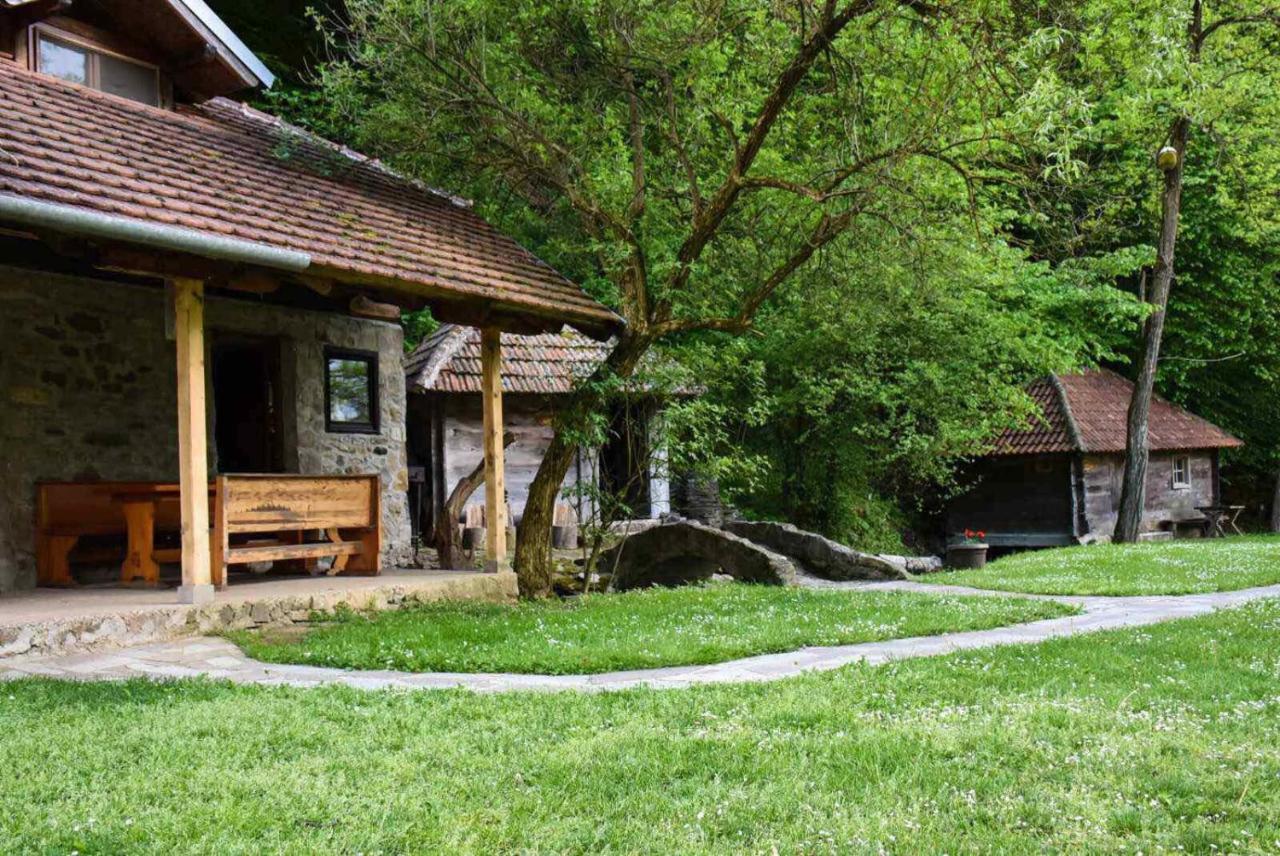 Kuca Za Odmor Todorovica Mlin Villa Gornji Milanovac Exterior photo
