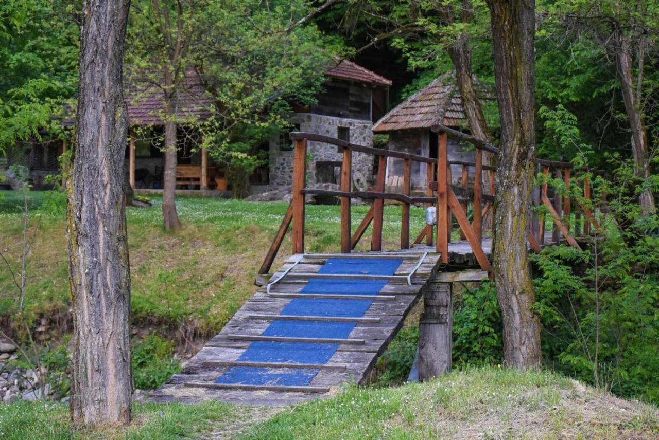 Kuca Za Odmor Todorovica Mlin Villa Gornji Milanovac Exterior photo