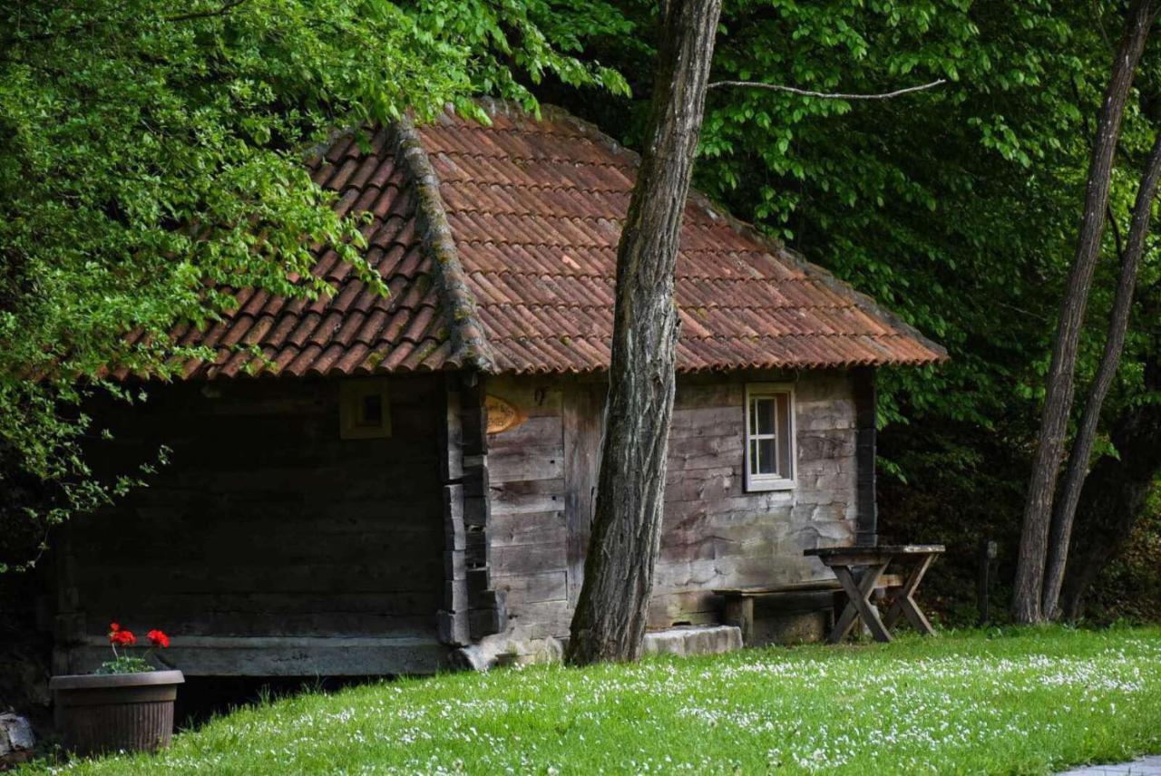 Kuca Za Odmor Todorovica Mlin Villa Gornji Milanovac Exterior photo