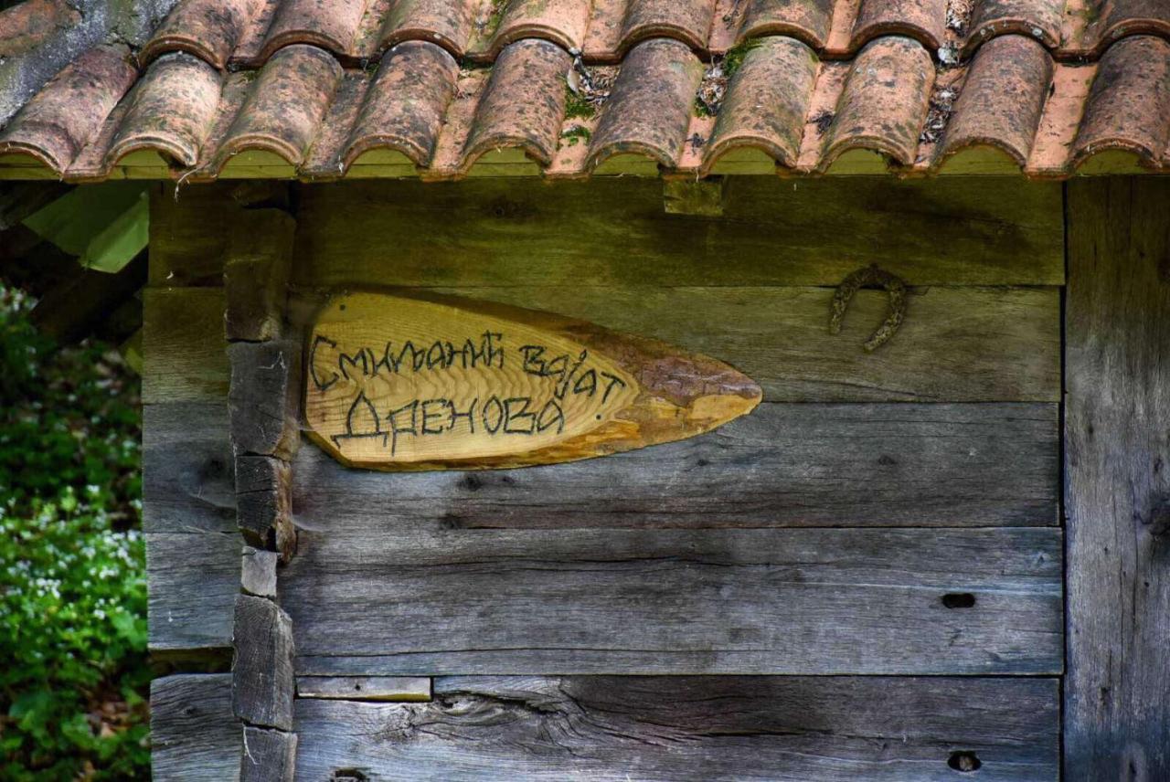 Kuca Za Odmor Todorovica Mlin Villa Gornji Milanovac Exterior photo