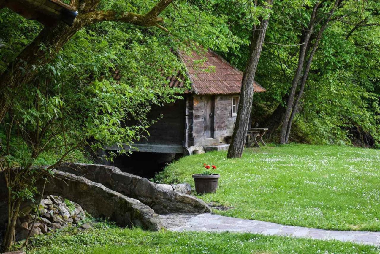 Kuca Za Odmor Todorovica Mlin Villa Gornji Milanovac Exterior photo