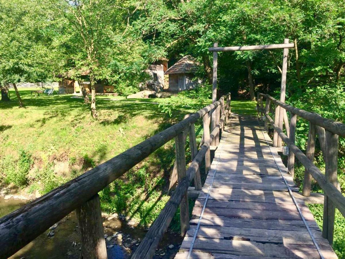 Kuca Za Odmor Todorovica Mlin Villa Gornji Milanovac Exterior photo