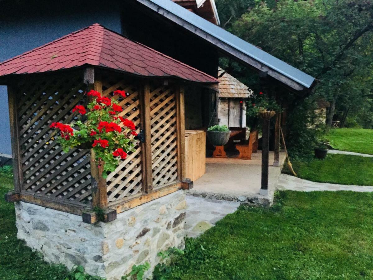 Kuca Za Odmor Todorovica Mlin Villa Gornji Milanovac Exterior photo